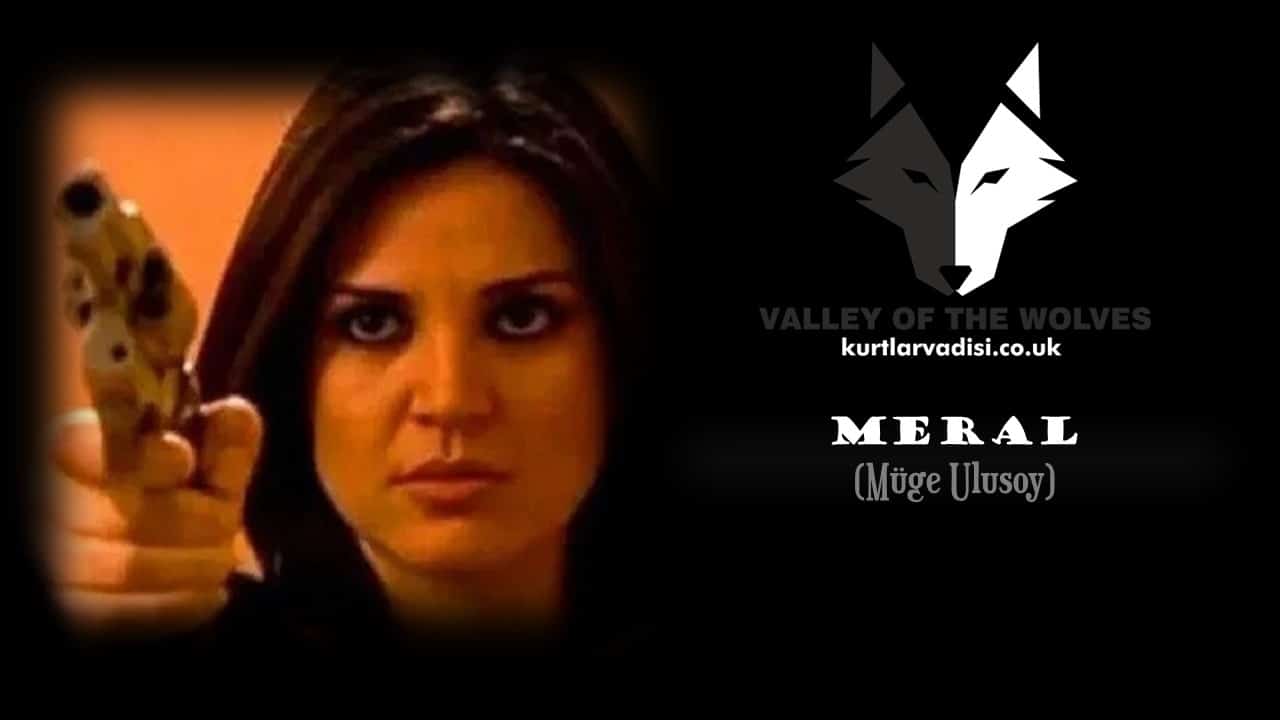 Who is Meral in Kurtlar Vadisi? Watch Kurtlar Vadisi with English Subtitles for Free. Valley of the wolves all episodes with english subtitles