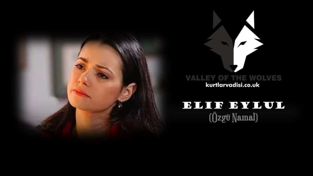 Who is Elif Eylul in Kurtlar Vadisi? Watch Kurtlar Vadisi with English Subtitles for Free. Valley of the wolves all episodes with english subtitles